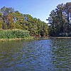 Exploring the lake. Explorando o lago. : Lake Bastrop South Shore